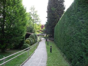 RSA - Residenza Sanitaria Assistenziale, fotografia 8